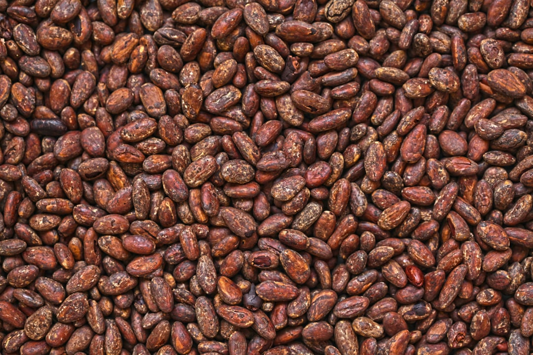 Kakao ceremonialne: Tradycje, historia i znaczenie